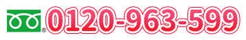 0120963599