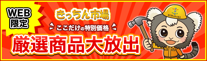 WEB限定大特価商品