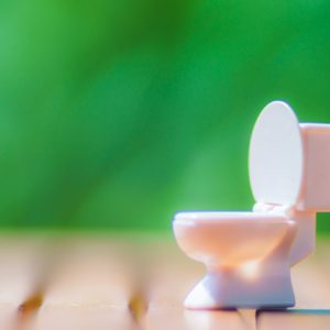 トイレのリフォームならTOTOがおすすめ！魅力点や人気シリーズ