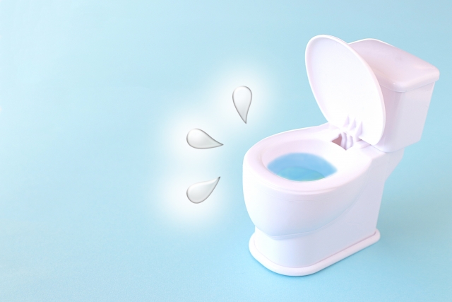 トイレはやっぱりTOTO