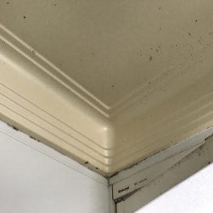 お風呂の黒カビどうにかならないの！？落ちない原因とリフォームのタイミング